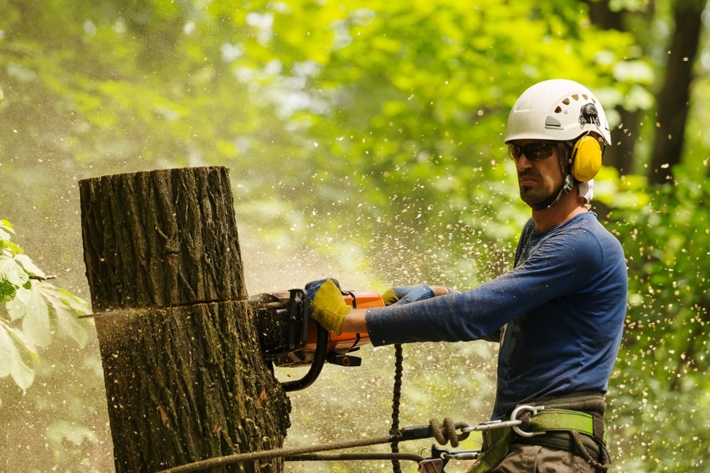 ARBORIST - APP