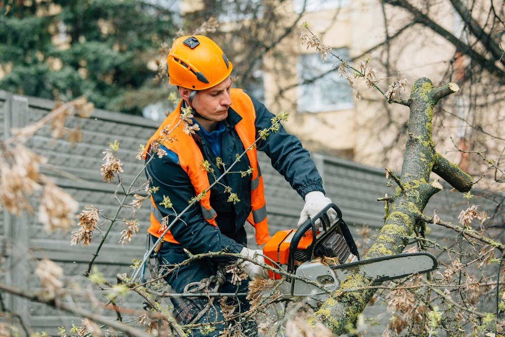 ARBORIST - APP