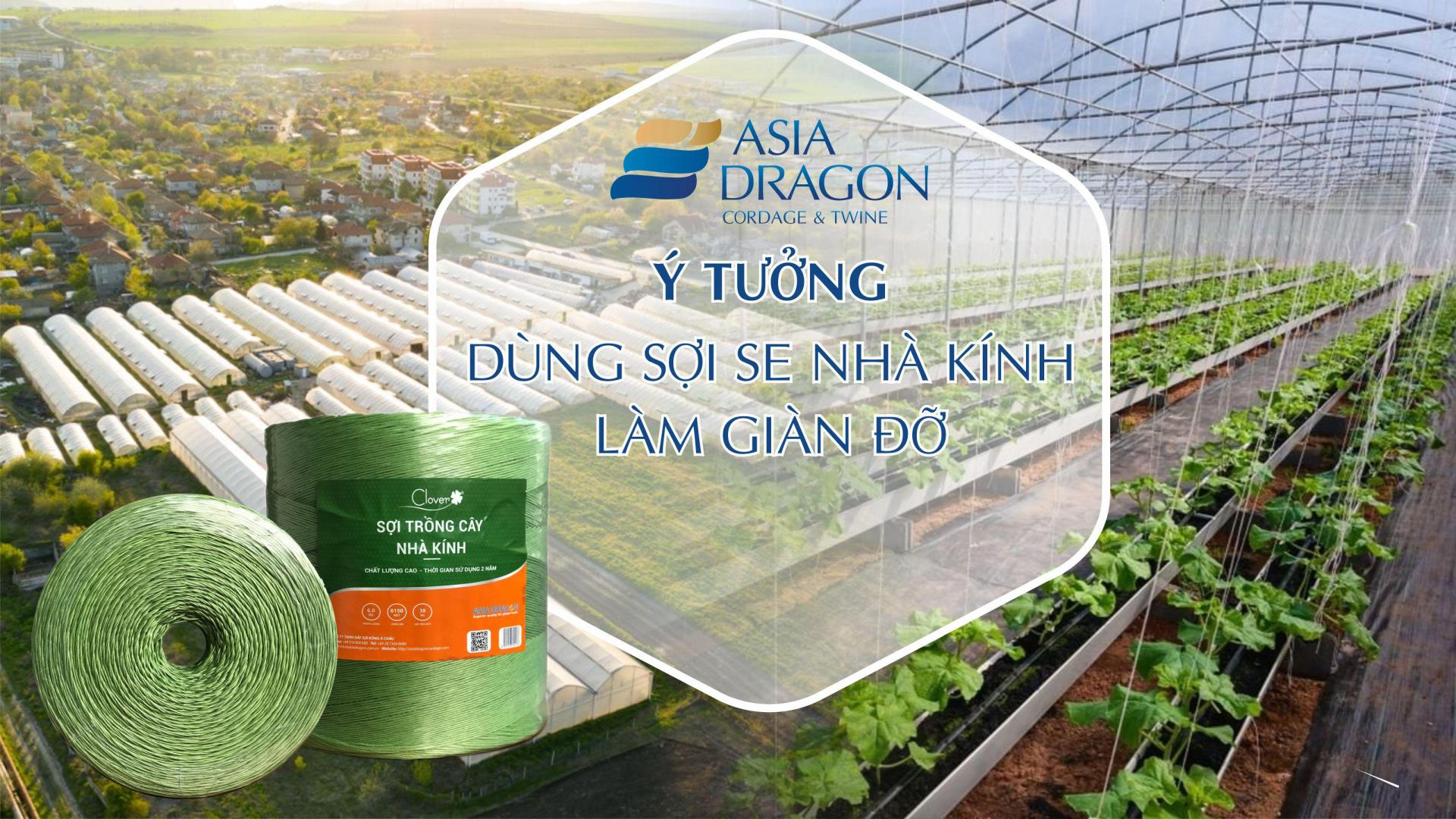 * Có nên dùng sợi se nhà kính làm giàn đỡ không?