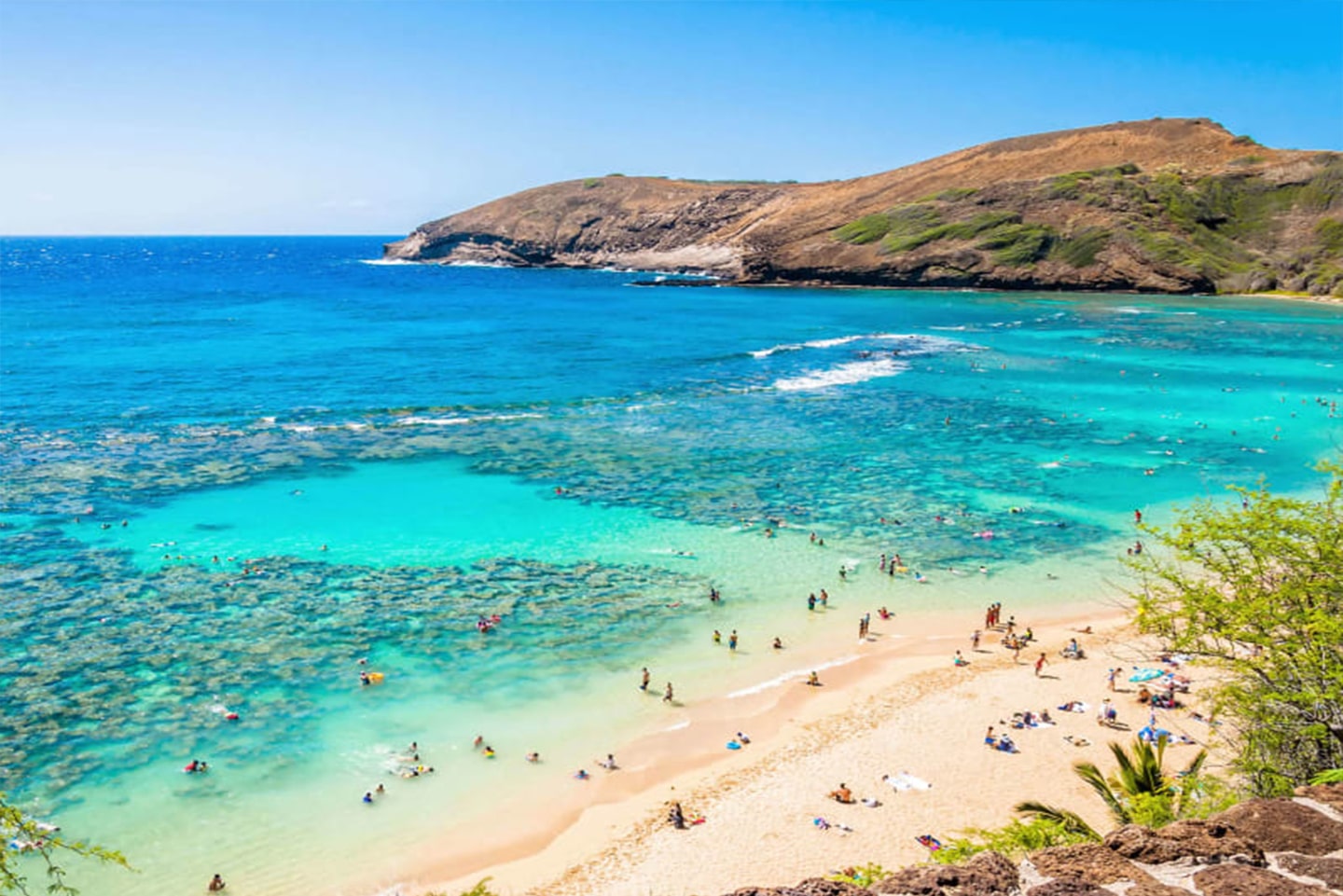 <em>HANAUMA BAY</em>. Regarded as 